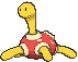 shuckle1